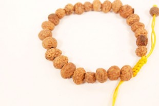 Pulsera Semilla de Rakta...