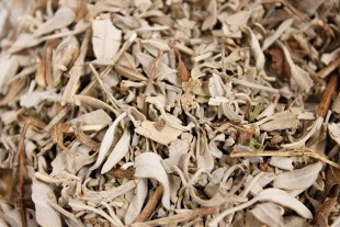Salvia (Granel)