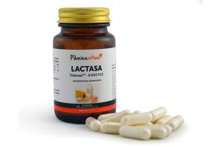 Lactasa 30 cápsulas Pàmies...