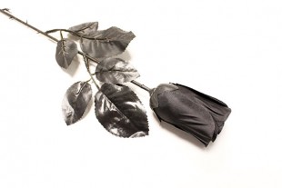 Rosa Negra Artificial 43 cm