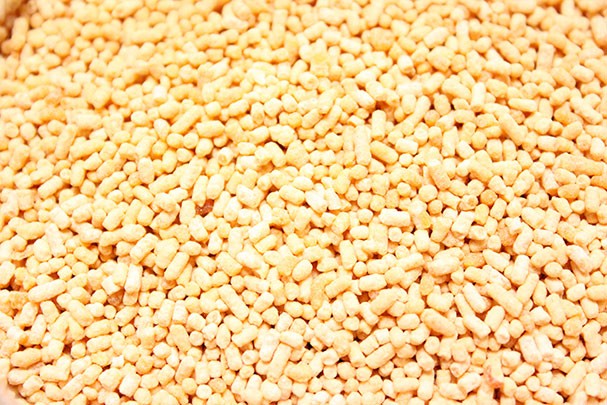 Las propiedades beneficiosas de la lecitina de soja
