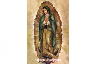 Estampa Virgen de Guadalupe...