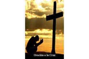 Estampa Oración a la Cruz...