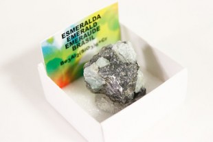 Esmeralda Bruto en Caja