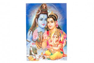 Familia Shiva Lámina...