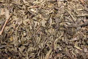 Té Verde Sencha Fresh (Granel)