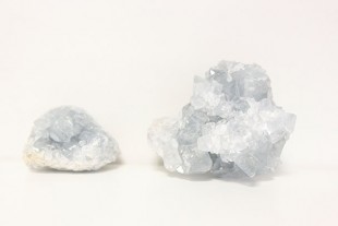 Drusa Celestina (Varios Pesos)