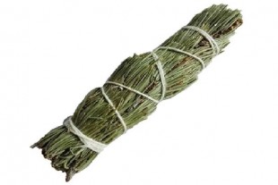 Atadillo Pino 16-18 cm