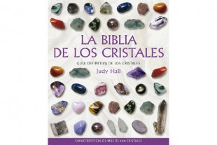 Libro La Biblia de los...