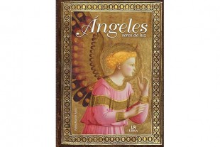 Libro Ángeles Seres de Luz...