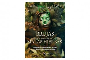 Libro Brujas y la Magia de...