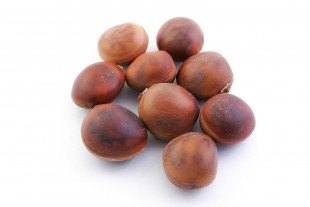 Semilla Ojo de Buey