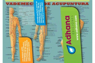 Lámina Vademecum de...