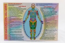 Lámina Mapa Neuroemocional del Cuerpo A4 doble cara a color