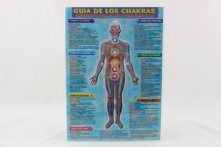 Lámina Guía de los Chakras A4 doble cara a color