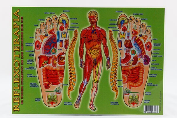 Lámina Reflexoterapia A4 doble cara a color