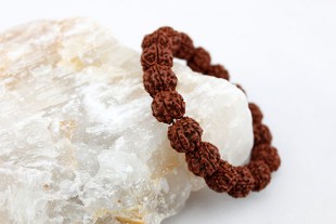 Pulsera Elástica Rudraksha...