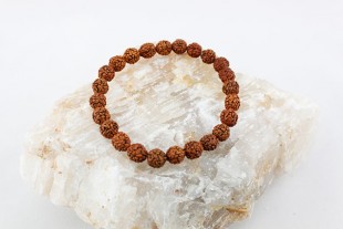 Pulsera Elástica Rudraksha 6mm