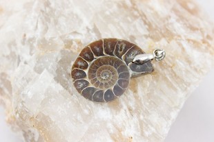 Colgante Amonite Mediano
