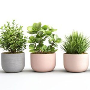 Plantas Artificiales