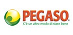 Pegaso